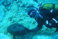 greece scuba diving